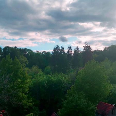Ferienwohnung Im Manbach Freudenstadt Exteriör bild