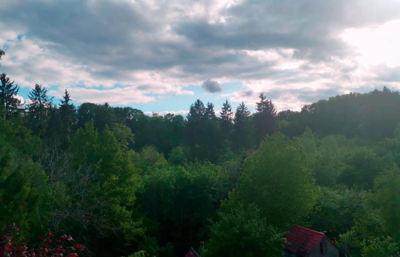 Ferienwohnung Im Manbach Freudenstadt Exteriör bild