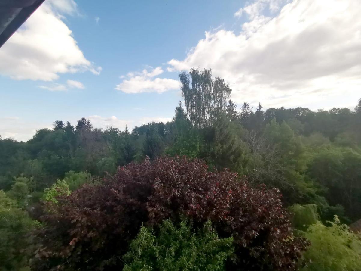 Ferienwohnung Im Manbach Freudenstadt Exteriör bild